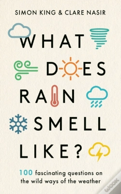 Capa do artigo What Does Rain Smell Like?
