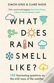 Capa do artigo What Does Rain Smell Like?