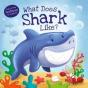 What Does Shark Like? - Preview