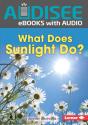 What Does Sunlight Do? - Preview