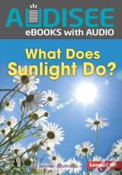Capa do artigo What Does Sunlight Do?