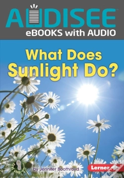 Capa do artigo What Does Sunlight Do?