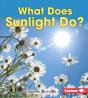 What Does Sunlight Do? - Preview