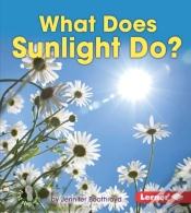 Capa do artigo What Does Sunlight Do?