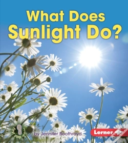 Capa do artigo What Does Sunlight Do?