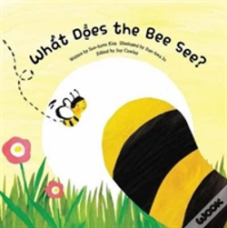 Capa do artigo What Does The Bee See?
