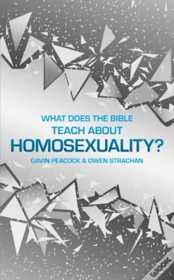 Capa do artigo What Does The Bible Teach About Homosexuality?