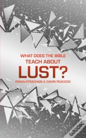 Capa do artigo What Does The Bible Teach About Lust?