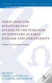 'What Does The Scripture Say?' Studies In The Function Of Scripture In Early Judaism And Christianit