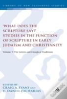 'What Does The Scripture Say?' Studies In The Function Of Scripture In Early Judaism And Christianity, Volume 2