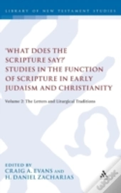 'What Does The Scripture Say?' Studies In The Function Of Scripture In Early Judaism And Christianity, Volume 2