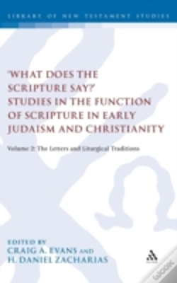 Capa do artigo 'What Does The Scripture Say?' Studies In The Function Of Scripture In Early Judaism And Christianity, Volume 2