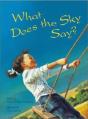 What Does The Sky Say - Preview