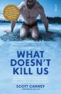 What Doesn'T Kill Us - Preview