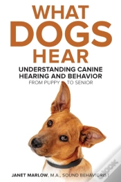 Capa do artigo What Dogs Hear - Understanding Canine He