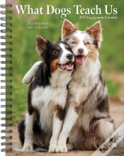Capa do artigo What Dogs Teach Us 2027 Engagement
