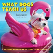 Capa do artigo What Dogs Teach Us 2027 Mini