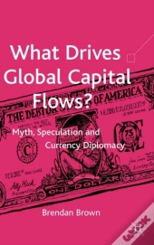 What Drives Global Capital Flows?
