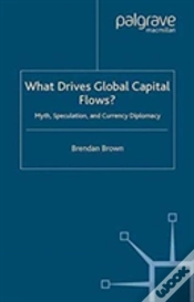 Capa do artigo What Drives Global Capital Flows?