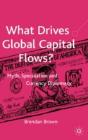 What Drives Global Capital Flows? - Preview