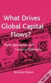 Capa do artigo What Drives Global Capital Flows?