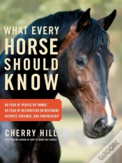 Capa do artigo What Every Horse Should Know