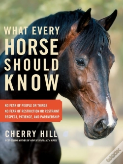 Capa do artigo What Every Horse Should Know