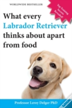 Capa do artigo What Every Labrador Retriever Thinks Abo