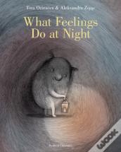 What Feelings Do At Night