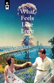 Capa do artigo What Feels Like Love