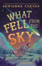 What Fell From The Sky - Preview