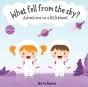 What Fell From The Sky? - Preview