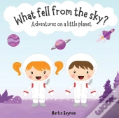 What Fell From The Sky?