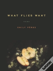 What Flies Want