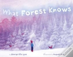 Capa do artigo What Forest Knows