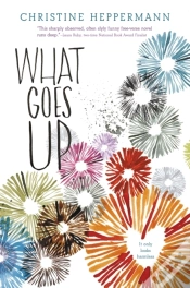 Capa do artigo What Goes Up