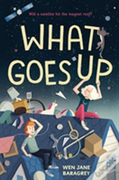 What Goes Up