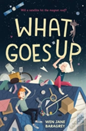 Capa do artigo What Goes Up