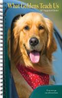 What Goldens Teach Us 2027 Engagement