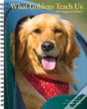 Capa do artigo What Goldens Teach Us 2027 Engagement