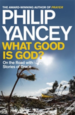 Capa do artigo What Good Is God?