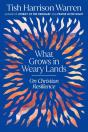 What Grows In Weary Lands - Preview