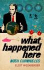 What Happened Here - Preview