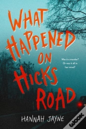 Capa do artigo What Happened On Hicks Road