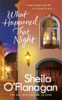 What Happened That Night - Preview