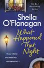 What Happened That Night - Preview