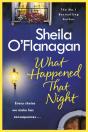 What Happened That Night - Preview