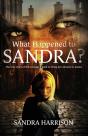 What Happened To Sandra? - Preview