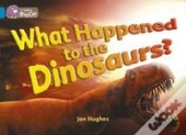 What Happened To The Dinosaurs?