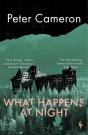 What Happens At Night - Preview